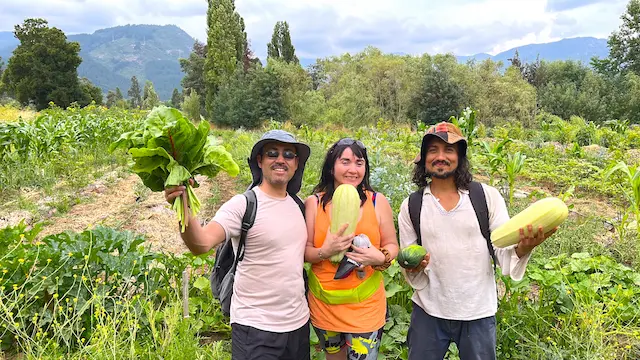 Huerta y cultivo local