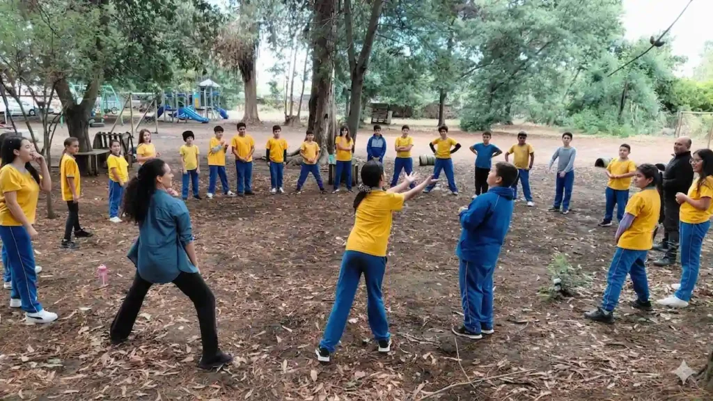 Soma Bosque